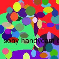 sony handycam dcr hc47e